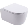 Унитаз подвесной Aquanet Smart безободковый, с микролифтом 276395 (SMART W) - фото маленькое 1