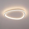Потолочный светодиодный светильник Citilux Trio CL215B250E - фото маленькое 6