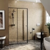 Душевой уголок Wasserkraft Dill 61S14 - фото маленькое 2