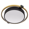 Потолочный светодиодный светильник Loft IT Mike 10169 - фото маленькое 1
