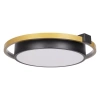 Потолочный светодиодный светильник Loft IT Mike 10169 - фото маленькое 2