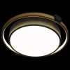 Потолочный светодиодный светильник Loft IT Mike 10169 - фото маленькое 3