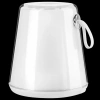 Настольная лампа декоративная Lightstar Alfa 745950 - фото маленькое 2