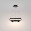 Подвесной светильник Maytoni Rim MOD058PL-L55BK - фото маленькое 3