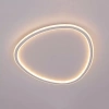 Потолочный светодиодный светильник Citilux Trio CL215B250E - фото маленькое 8