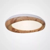 Потолочный светодиодный светильник Imperium Loft Runis 140974-26 - фото маленькое 1