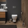 Унитаз подвесной Teymi Ritta T40809 - фото маленькое 4