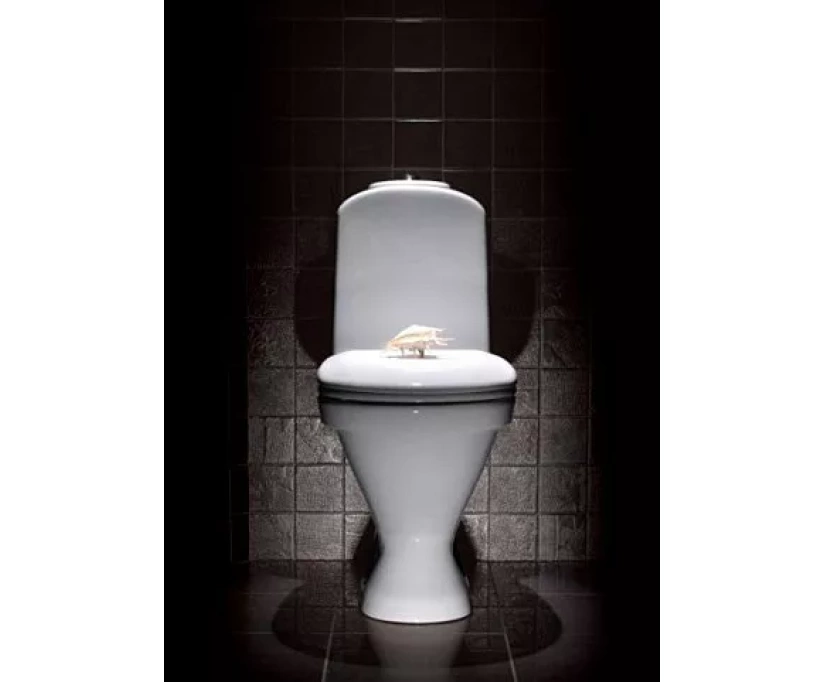 Унитаз-компакт Sanita luxe Classic luxe без микролифта (CSCSLCC01070611) - фото 4