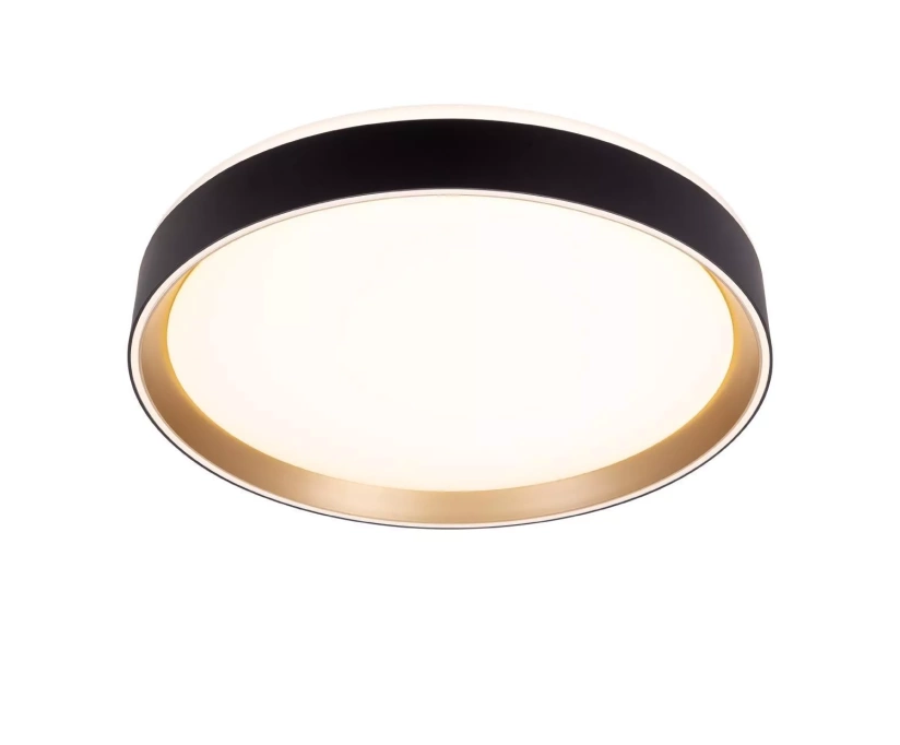 Потолочный светодиодный светильник Citilux Boss CL751351G - фото 1