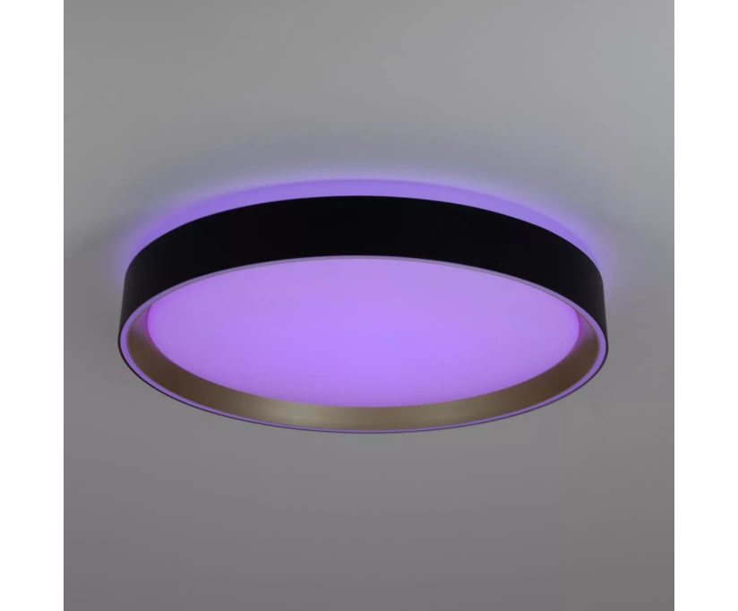 Потолочный светодиодный светильник Citilux Boss CL751351G - фото 9