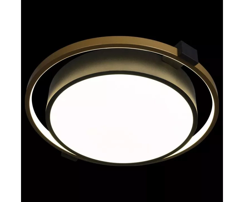 Потолочный светодиодный светильник Loft IT Mike 10169 - фото 3