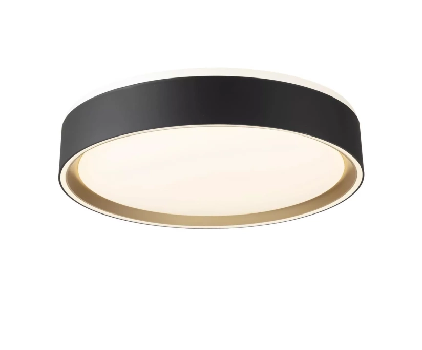 Потолочный светодиодный светильник Citilux Boss CL751251G - фото 1