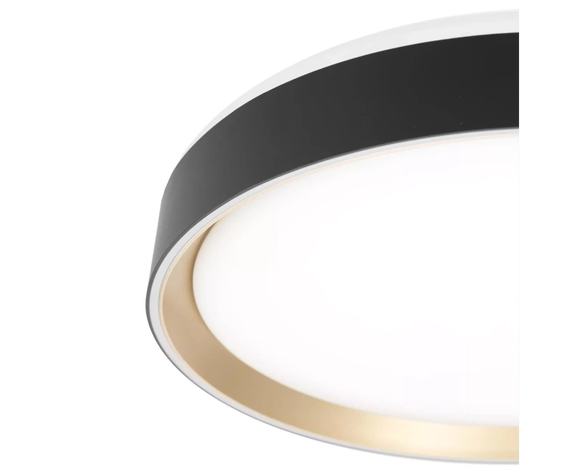 Потолочный светодиодный светильник Citilux Boss CL751351G - фото 8